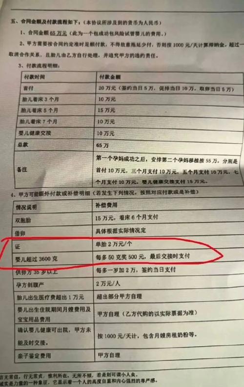 国内第三代代孕宝宝查个过敏源多少钱