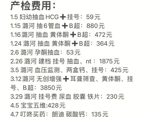 国内代孕的花费